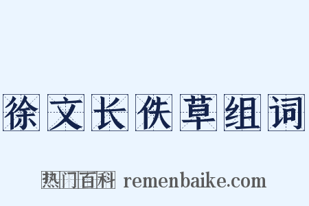 徐文长佚草组词是什么意思的图片